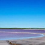 Adelaide Highlights: Wine, Whispering Wall & Pink Lake Tour - Who Would Love This Tour?
