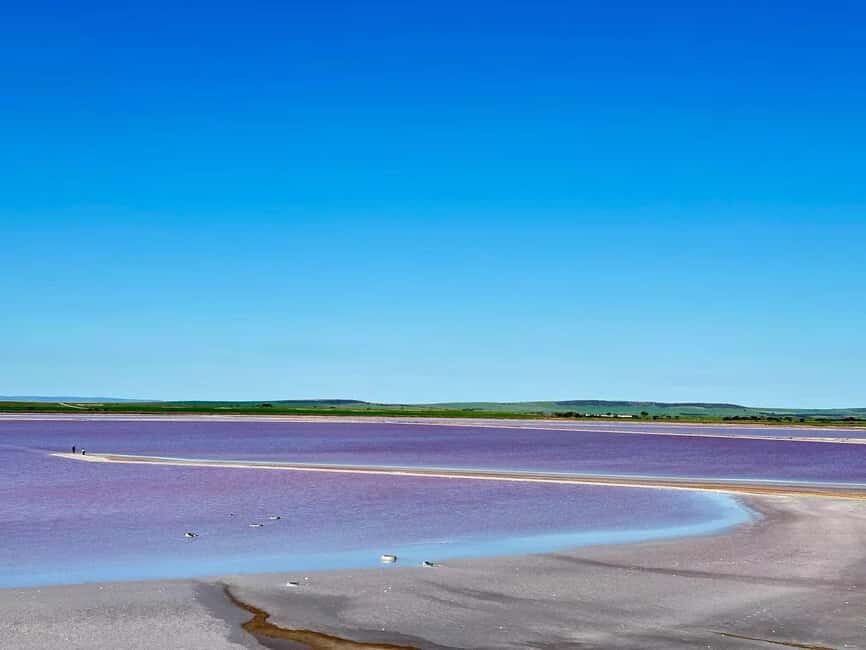 Adelaide Highlights: Wine, Whispering Wall & Pink Lake Tour - Who Would Love This Tour?