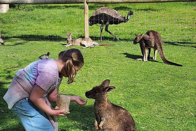Adelaide Hills Cleland Wildlife Park and Hahndorf Minibus Tour - Frequently Asked Questions