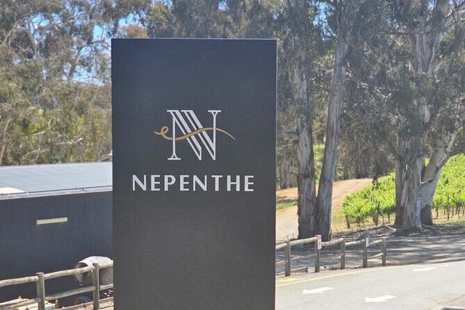 Adelaide Hills Divine Wine Tour - Who Should Consider This Tour?