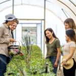 Adelaide Hills: Jurlique Farm Tour - The Itinerary: What Can You Expect?
