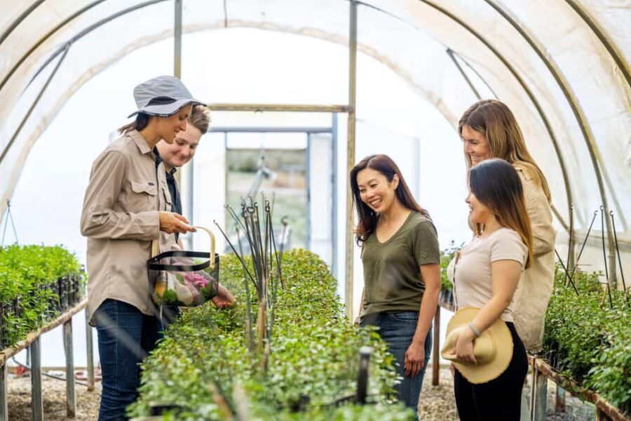 Adelaide Hills: Jurlique Farm Tour - The Itinerary: What Can You Expect?