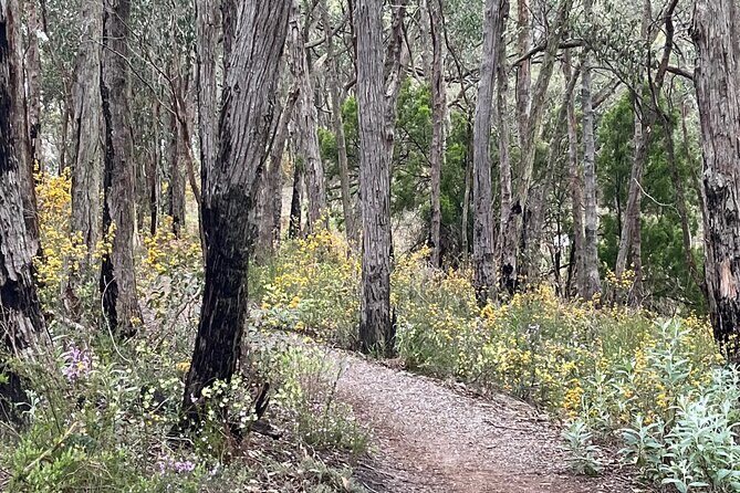 Adelaide Hills Nature Highlights Self-Guided e-Bike Tour - In-Depth Look at the Itinerary