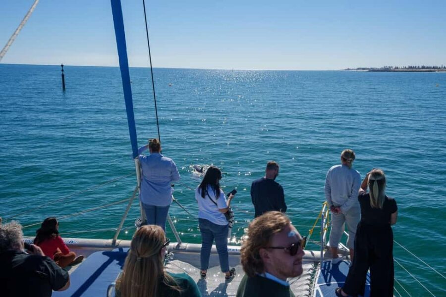 Adelaide: Kauwi Cultural Cruise - An In-Depth Look at the Kauwi Cultural Cruise