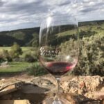 Adelaide: McLaren Vale Private WineTour+Your Chosen Tastings - The Value of a Private, Custom-Tailored Tour