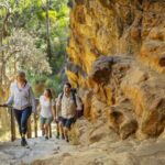 Adelaide: Morialta Wilderness and Wildlife Hike - Why This Tour Works for You