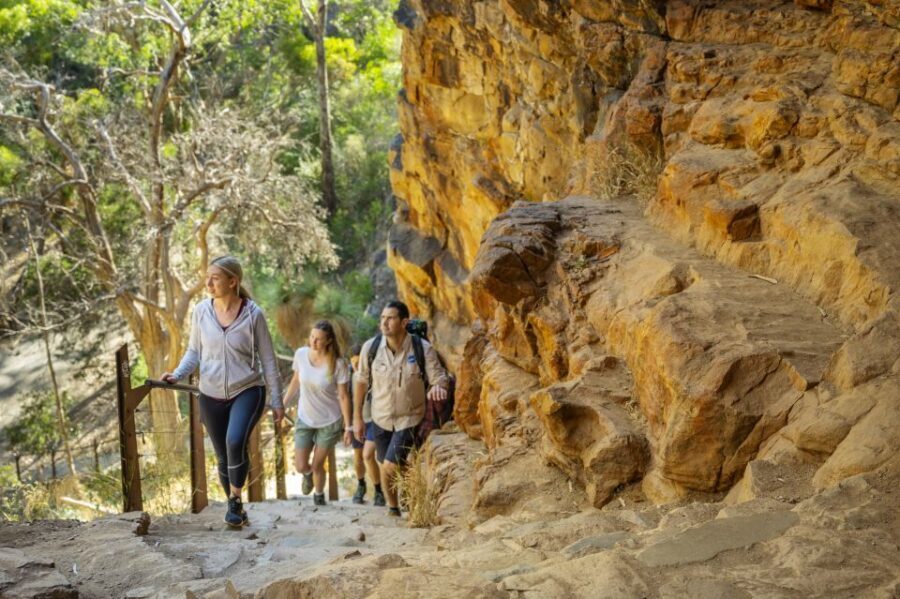 Adelaide: Morialta Wilderness and Wildlife Hike - Why This Tour Works for You