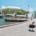 Adelaide: River Torrens Popeye Devonshire Tea Cruise - The Route and Sights: What Makes It Special