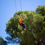 Adelaide: TreeClimb Adventure - Detailed Breakdown of the Experience