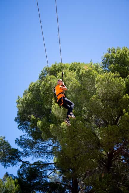 Adelaide: TreeClimb Adventure - Detailed Breakdown of the Experience