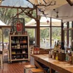 Adelaides Must do tours for Cruise Passengers  Arrive on Time - An In-Depth Look at These Guided Tours