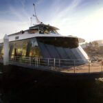 Admission to Vivid Dinner Cruise in Sydney - Exploring the Experience in Detail