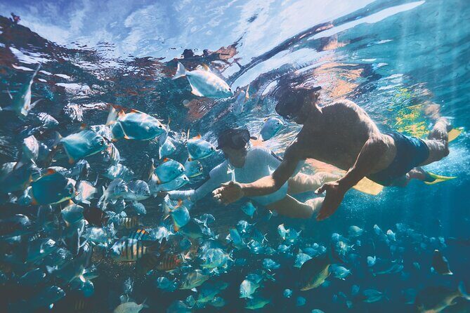 Adventure Moreton Island Scuba Dive Tour