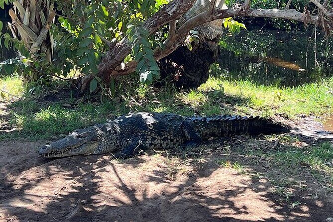 Adventure on the Emerald Coast Ventanilla, Mazunte, Puerto Ángel - Practicalities and Value