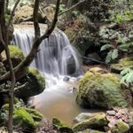 Adventurous Blue Mountains hike up the iconic Three Sisters - What Makes This Tour Stand Out?