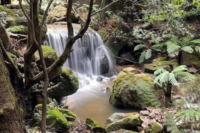 Adventurous Blue Mountains hike up the iconic Three Sisters - What Makes This Tour Stand Out?