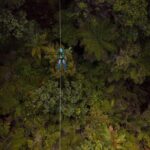 Adventurous Zipline Tour in Coromandel - What Makes This Tour Stand Out?