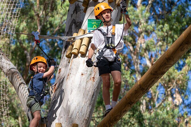 Aerial Fun & Ziplining for Our Littlest Adventurers in Salisbury - Final Thoughts