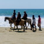 Afro-Mexican Village: Horseback Beach Ride, Crocs & Cliff Diver - Frequently Asked Questions