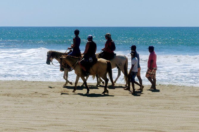 Afro-Mexican Village: Horseback Beach Ride, Crocs & Cliff Diver - Frequently Asked Questions