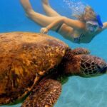 Afternoon Adventure Snorkel from Ka'anapali - Final Thoughts: Is This the Maui Snorkeling Experience for You?