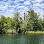 Afternoon Crystal River Ecological Boat Tour - Booking and Arrival: Easy, Convenient, and Friendly