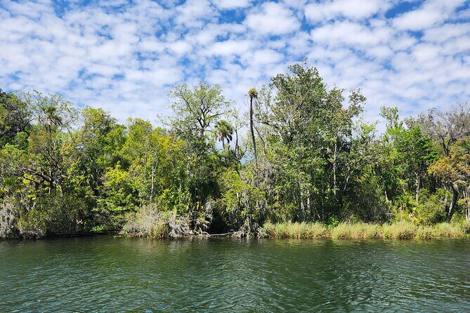 Afternoon Crystal River Ecological Boat Tour - Booking and Arrival: Easy, Convenient, and Friendly