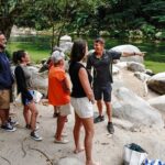 Afternoon Daintree Tour with River Cruise from Port Douglas - Practical Details & Considerations