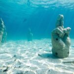 Afternoon Half-Day Catmaran Sailing and Snorkel Adventure - The Experience Walkthrough: What Youll Actually Do