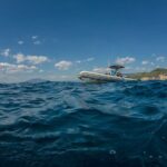 Afternoon snorkelling guided by a marine biologist in Sorrento - A Deep Dive into the Sorrento Snorkeling Experience