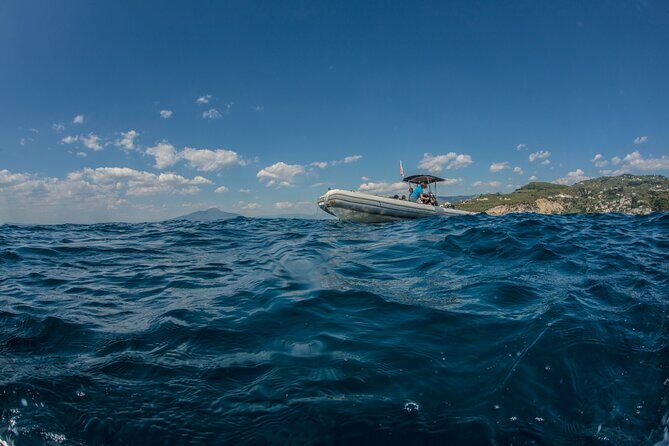 Afternoon snorkelling guided by a marine biologist in Sorrento - A Deep Dive into the Sorrento Snorkeling Experience