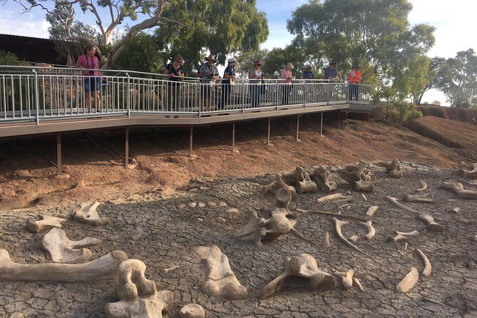 Age of Dinosaurs Museum Half Day Tour with Red Dirt Tours - Authenticity and Experience – What Sets This Tour Apart