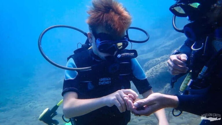 Agia Pelagia: Scuba Diving Activity for Children - Final Thoughts: Who Is This Tour Best For?