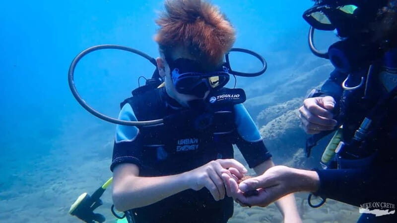Agia Pelagia: Scuba Diving Activity for Children - Final Thoughts: Who Is This Tour Best For?
