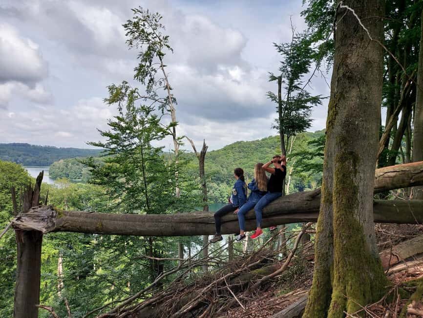 agów Landscape Park Horseriding Tour - Who Should Consider This Tour?