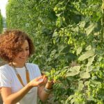 Agricultural Brewery Tour in the Roman Countryside - The Bottom Line
