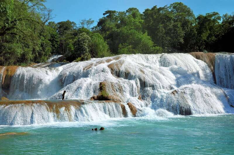 Agua Azul, Misol-Ha & Palenque Ruins from San Cristobal - An Honest Look at the Tour Experience