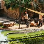 Agüimes: Cocodrilo Park Zoo Entry Ticket - What to Expect Upon Arrival