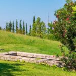 Aigai: Polycentric Museum & Royal Graves E-ticket with Audio - Who is this tour best suited for?