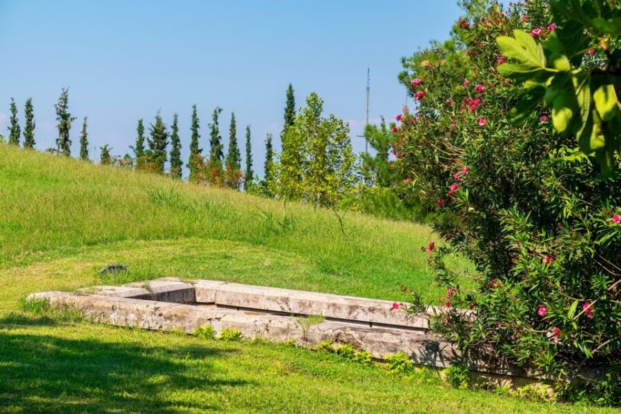Aigai: Polycentric Museum & Royal Graves E-ticket with Audio - Who is this tour best suited for?