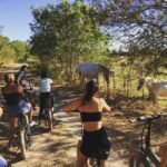 Aigues Mortes: safari en vélo - Ebike tour in Camargue - Final thoughts