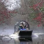 Airboat Tour of Louisiana Swamps - FAQ: Common Questions About the Louisiana Swamp Airboat Tour