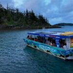Airlie Beach: Bottoms Up Sunset Cruise with Drink - The Experience in Detail