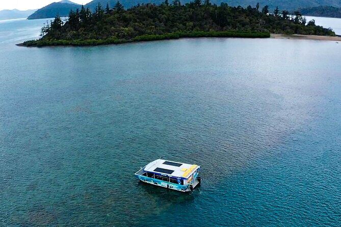 Airlie Beach Glass Bottom Boat Guided Night Tour - In-Depth Look at the Glass Bottom Boat Night Tour