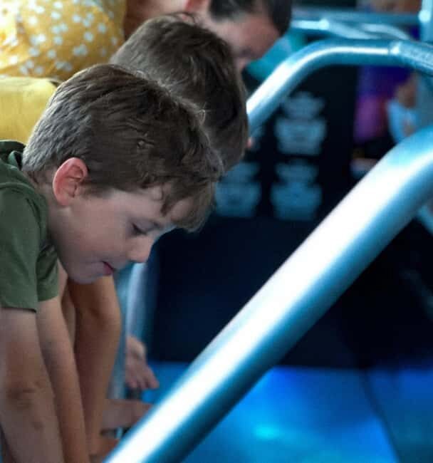 Airlie Beach: Glass-Bottom Boat Night Tour - A Detailed Look at the Glass-Bottom Boat Night Tour