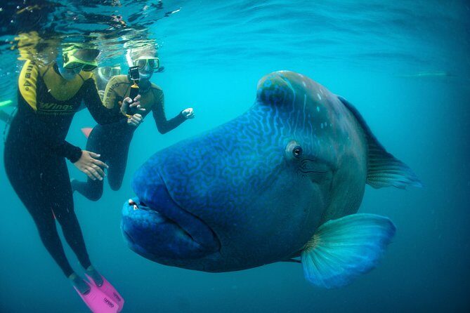 Airlie Beach- Private full day catered & crewed yacht charter - Authentic Feedback from Travelers