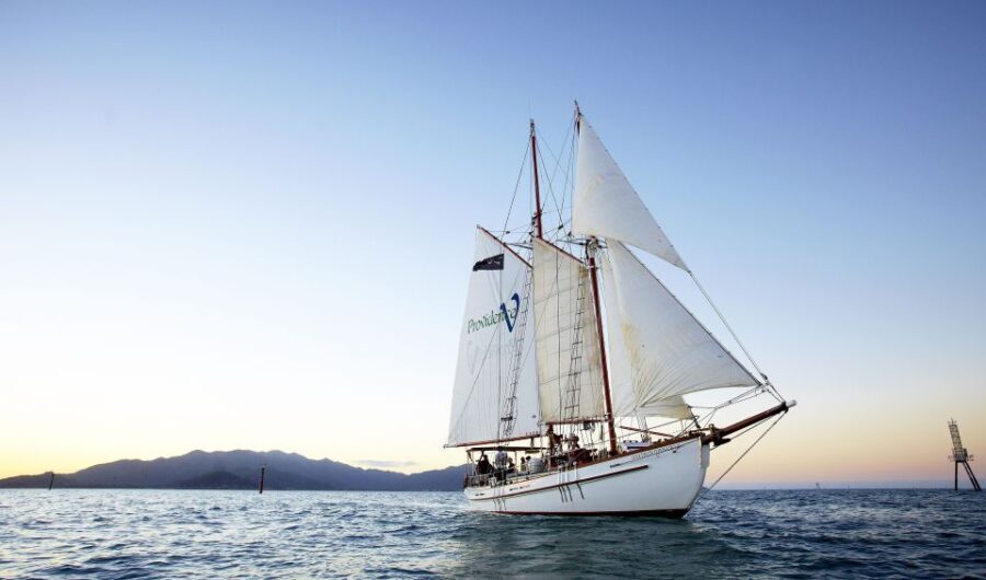 Airlie Beach: Providence Whitehaven Day Sail with Snorkeling - The Experience in Detail