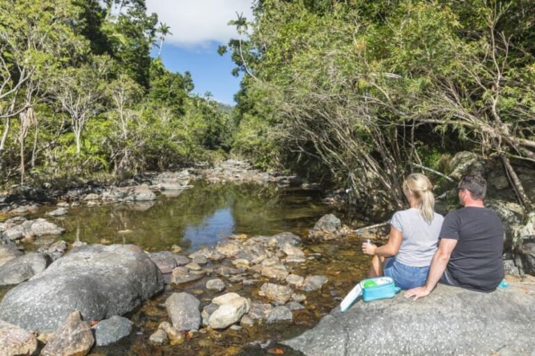 Airlie Beach: Segway Rainforest Discovery Tour - Final Thoughts