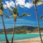 Airlie Beach: The Airlie Hopper Sightseeing Bus - The Guides and Guest Experience