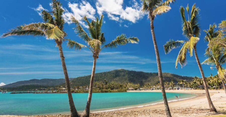 Airlie Beach: The Airlie Hopper Sightseeing Bus - The Guides and Guest Experience